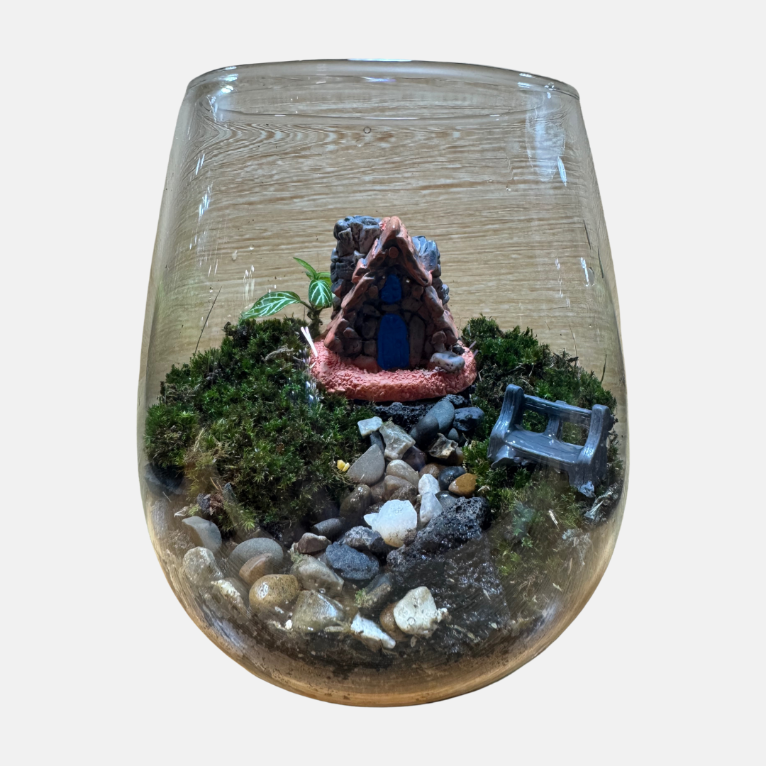 Terrarium Set Up 11