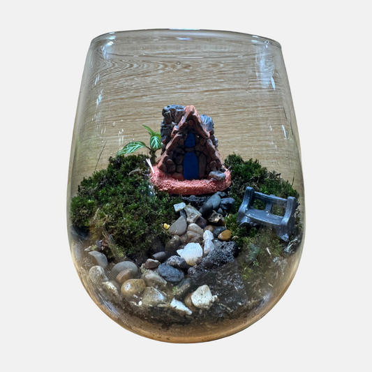 Terrarium Set Up 11