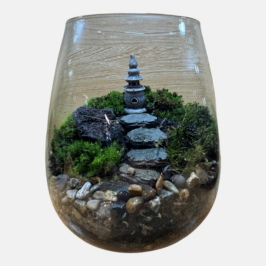 Terrarium Set Up 12