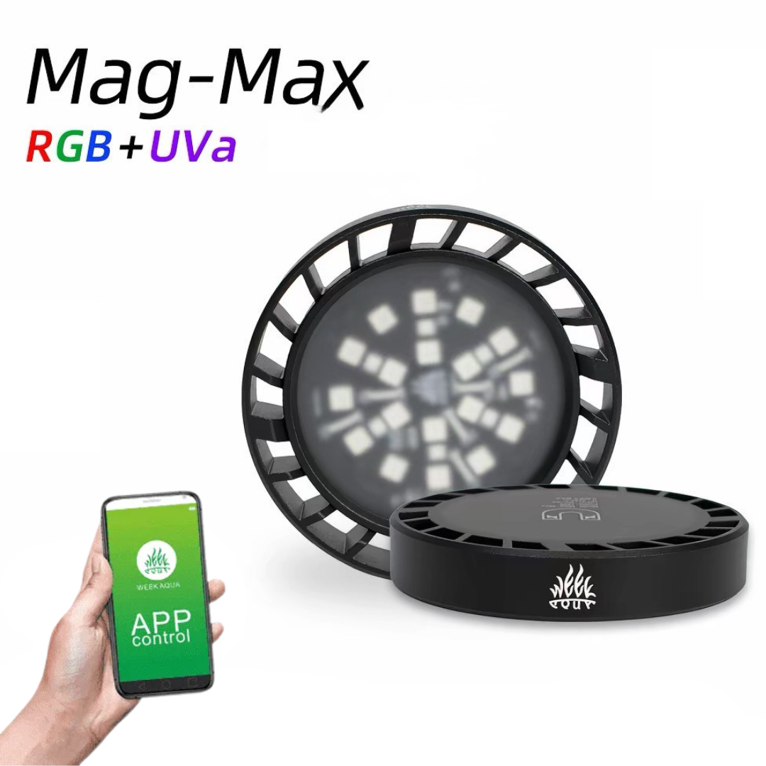 Week Aqua Mag-Max