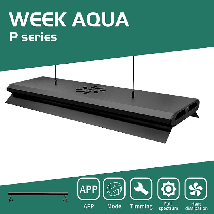 Week Aqua P Series