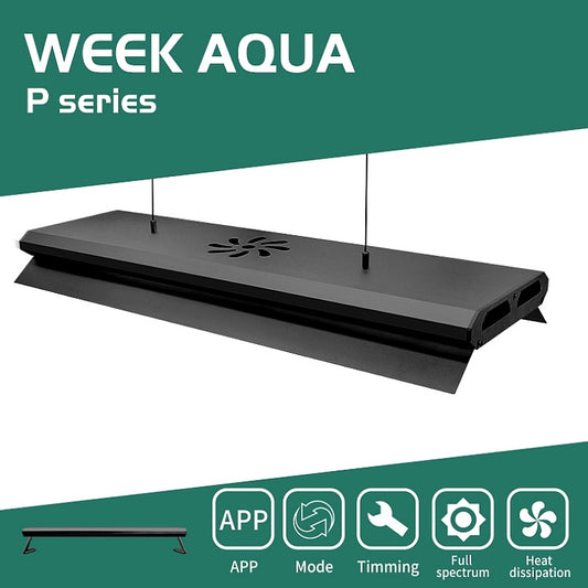 Week Aqua P Series