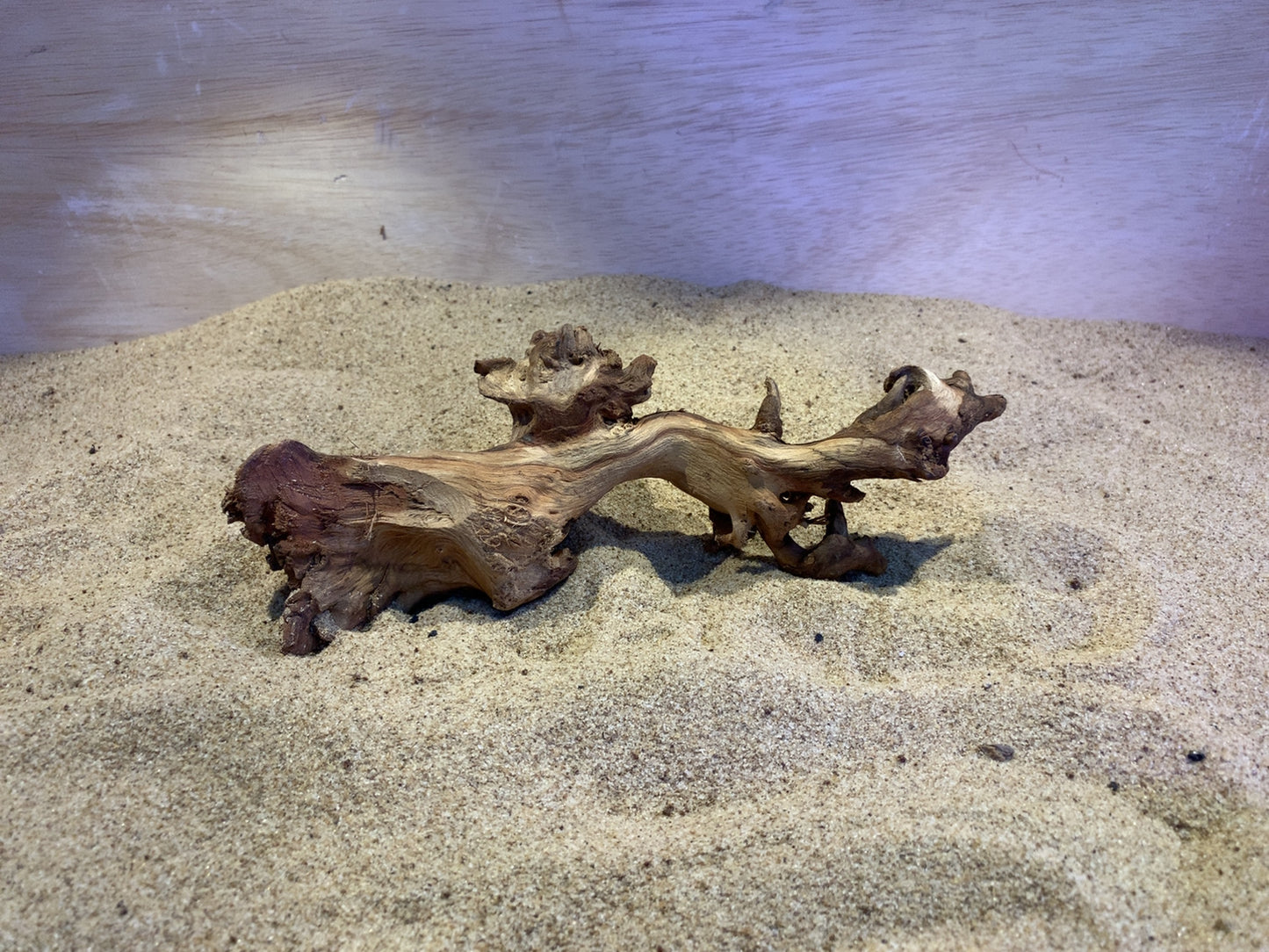 Mopani Wood C2