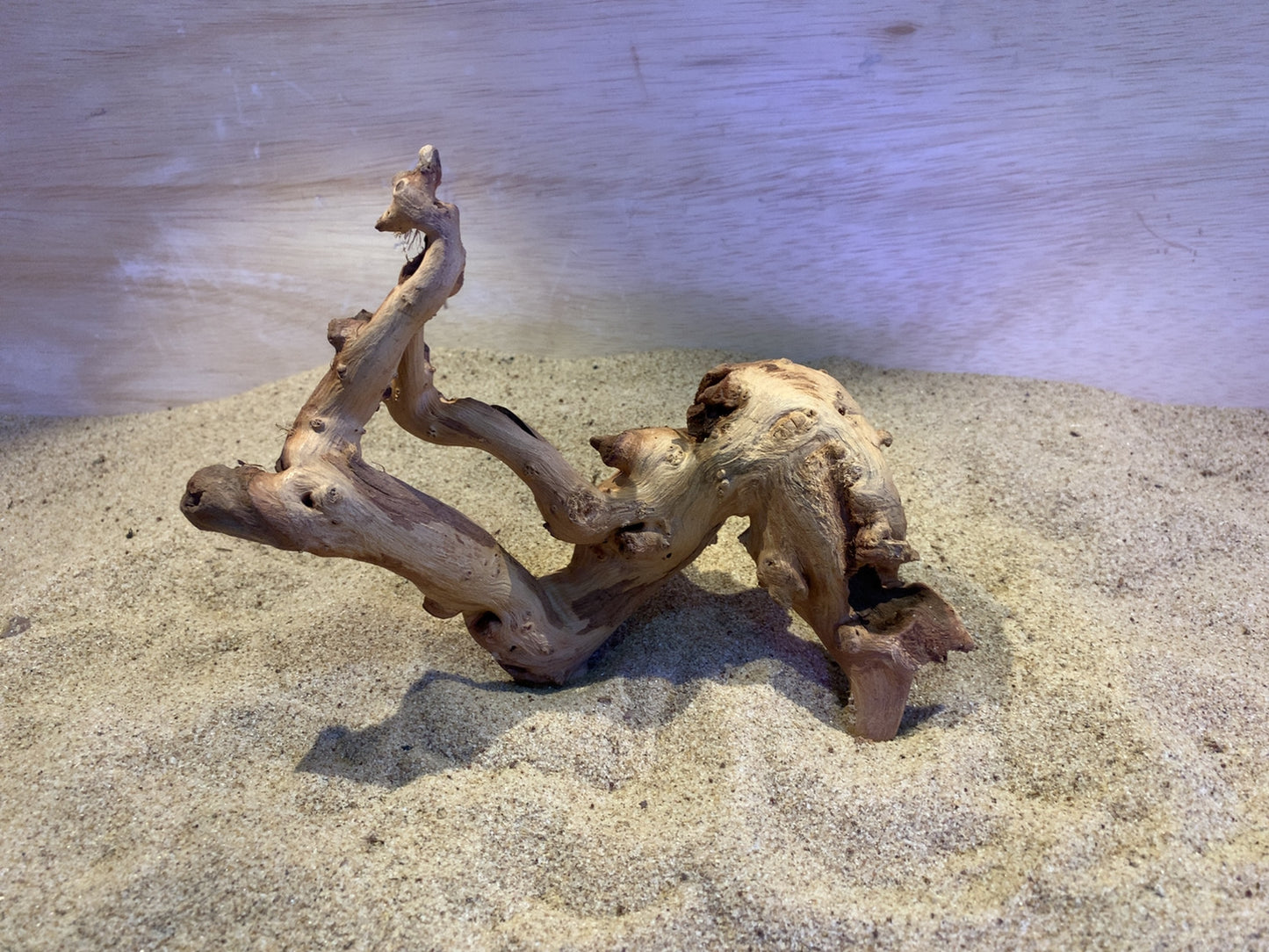 Mopani Wood C3