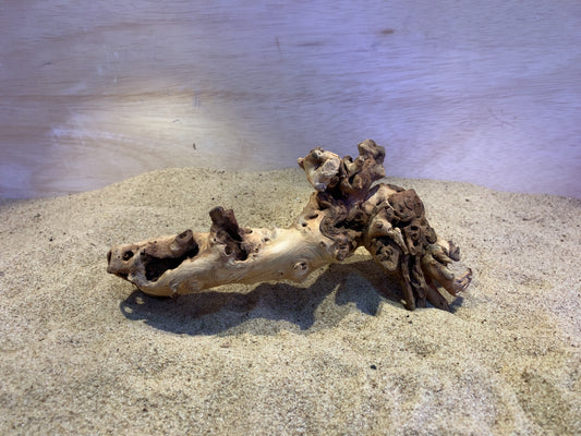 Mopani Wood C10