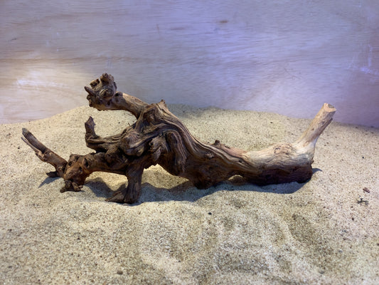 Mopani Wood C11