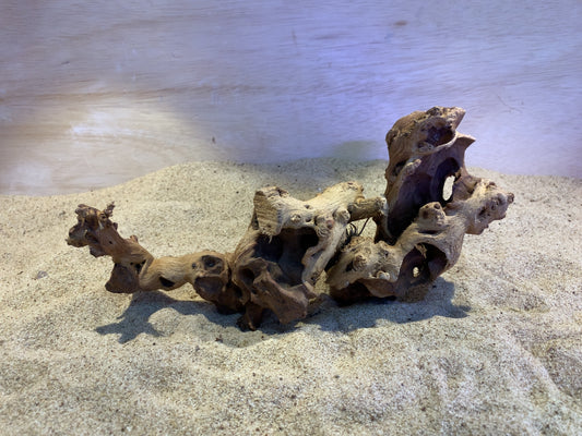Mopani Wood C13