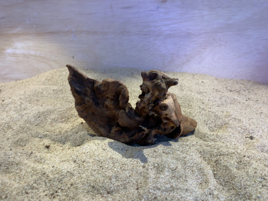Mopani Wood C14