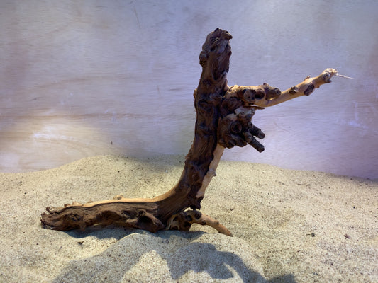 Mopani Wood C15