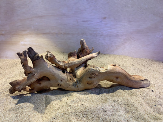 Mopani Wood C18