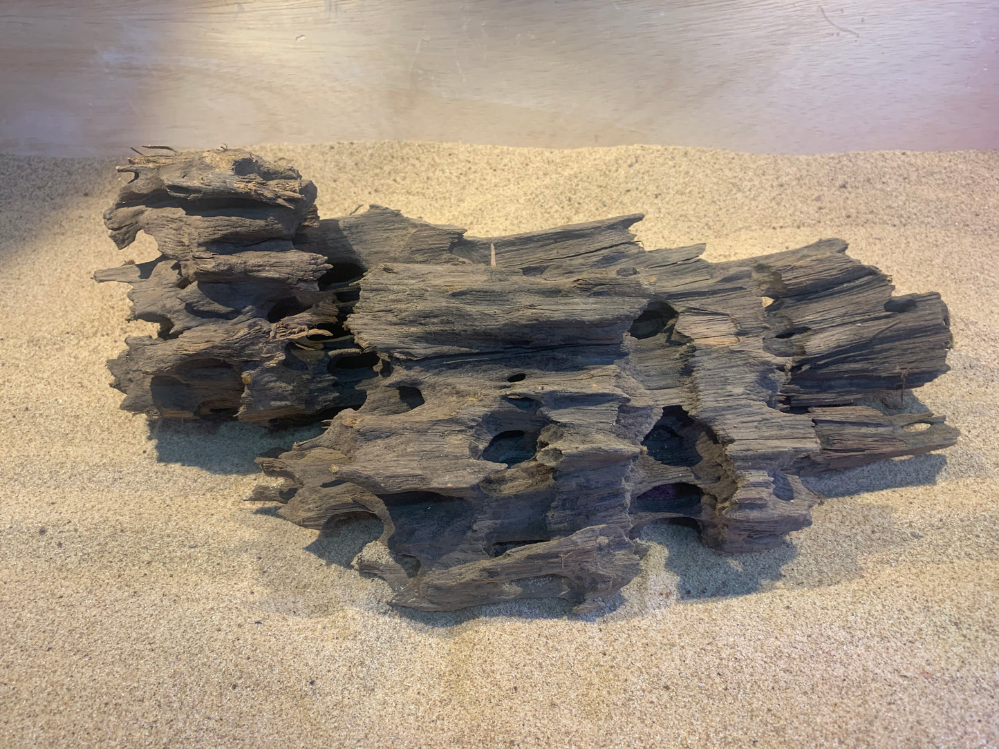 Honeycomb driftwood (per KG)