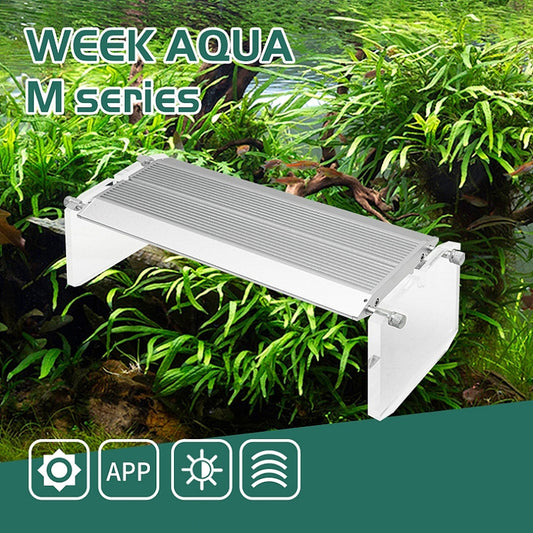 Week Aqua M Series