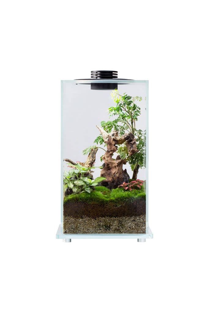 Bioloark Bio Bottle FD250