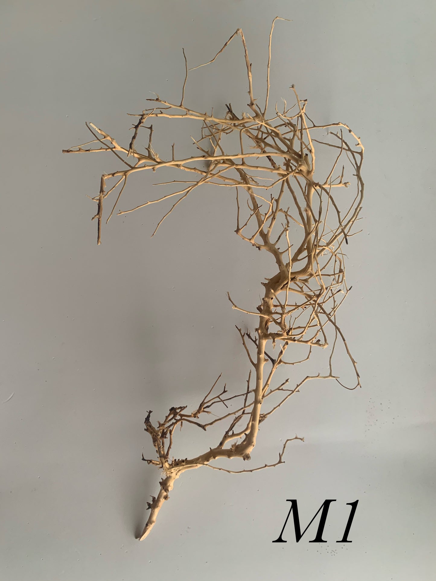 Scaping Twigs Medium (20-30cm)