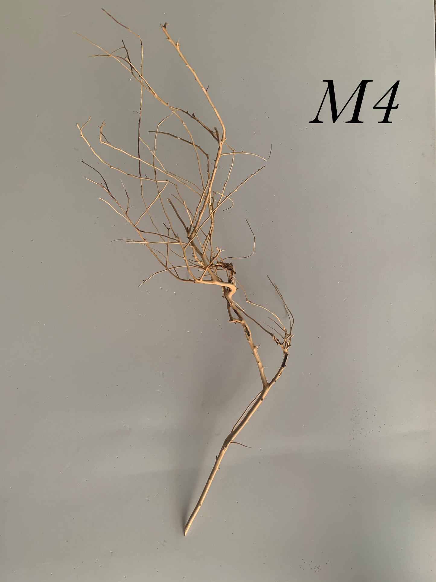 Scaping Twigs Medium (20-30cm)