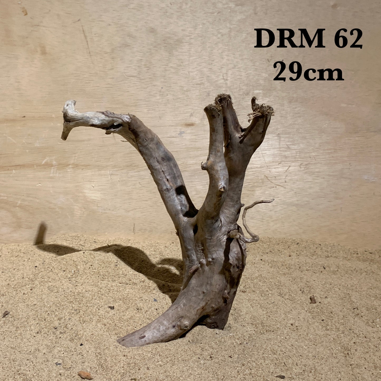 Dark Redmoor Wood Small 20-30cm