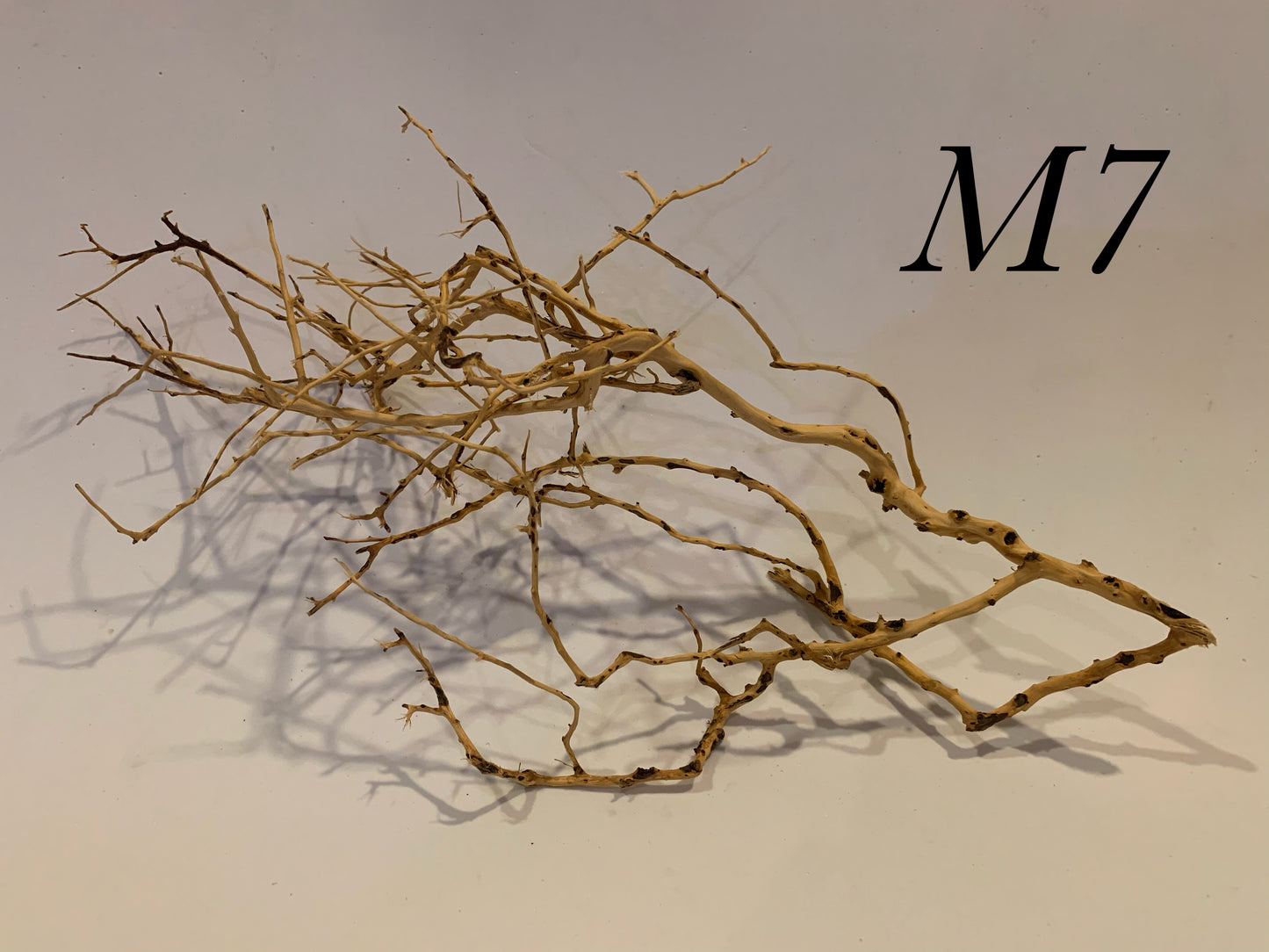 Scaping Twigs Medium (20-30cm)