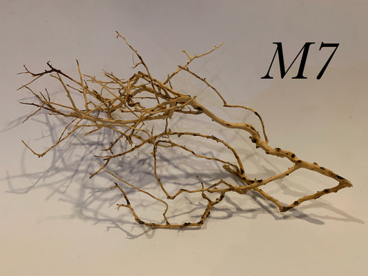 Scaping Twigs Medium (20-30cm)