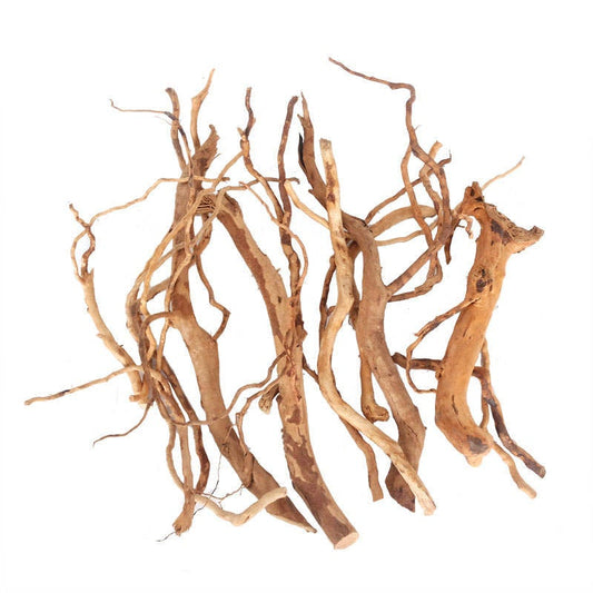 Root Branches (20-30cm)
