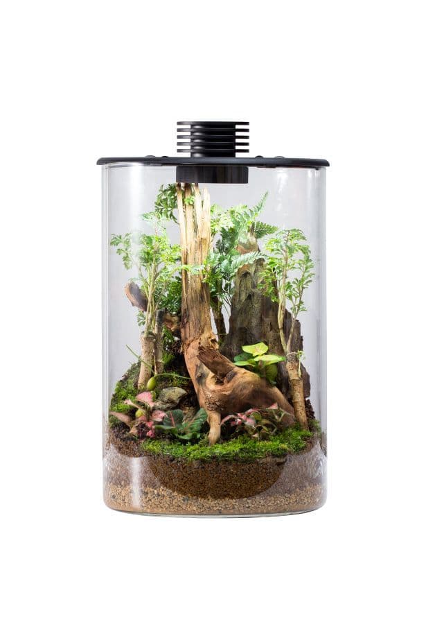 Bioloark Bio Bottle ZD150