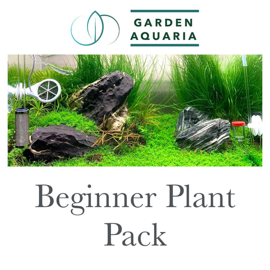 Beginner Plant Pack (Online Exclusive)