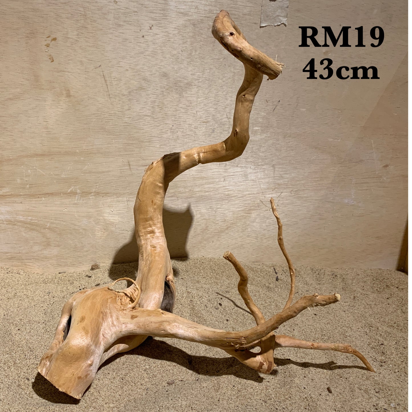 Redmoor Wood Large 40-60cm