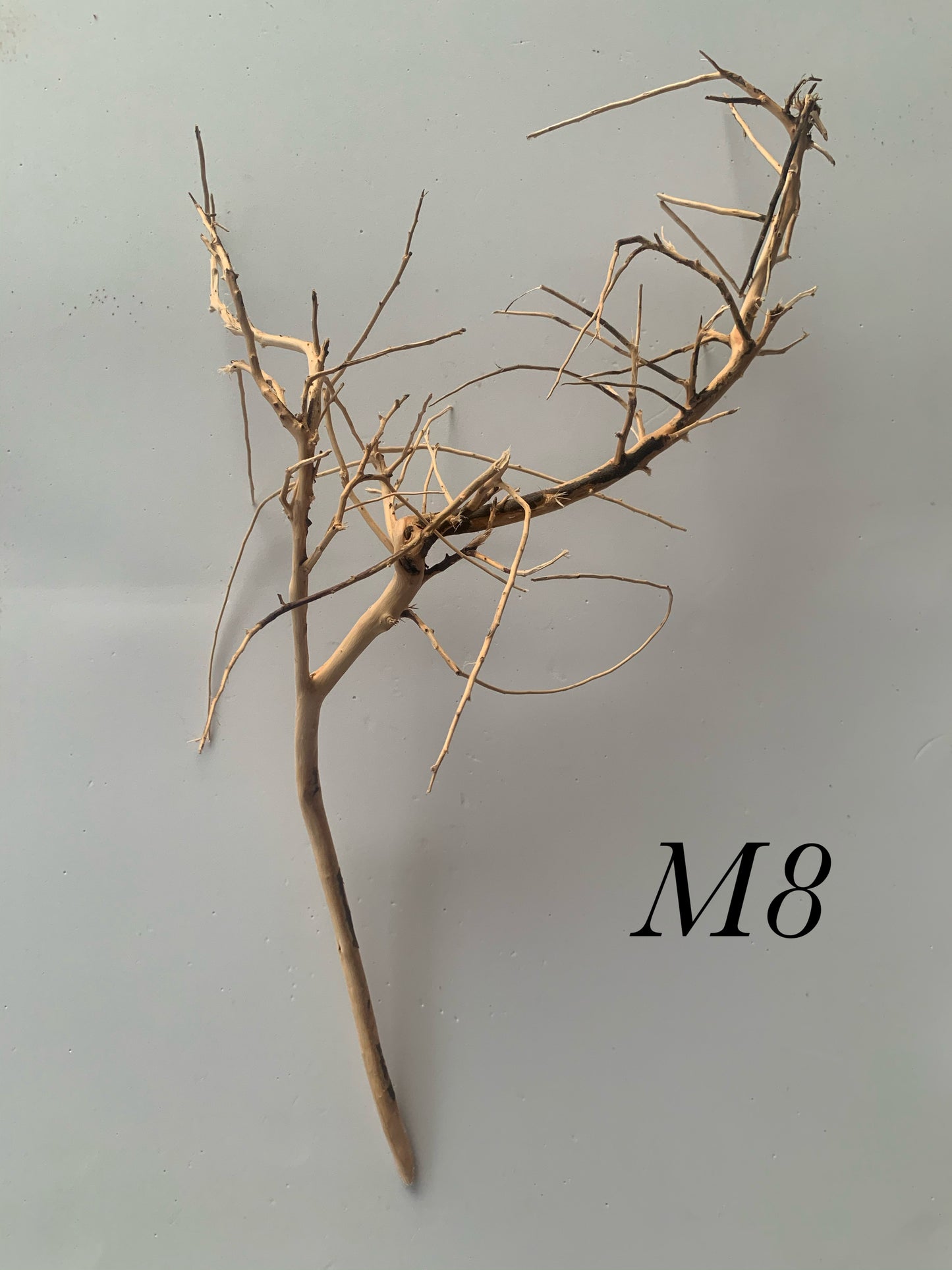 Scaping Twigs Medium (20-30cm)