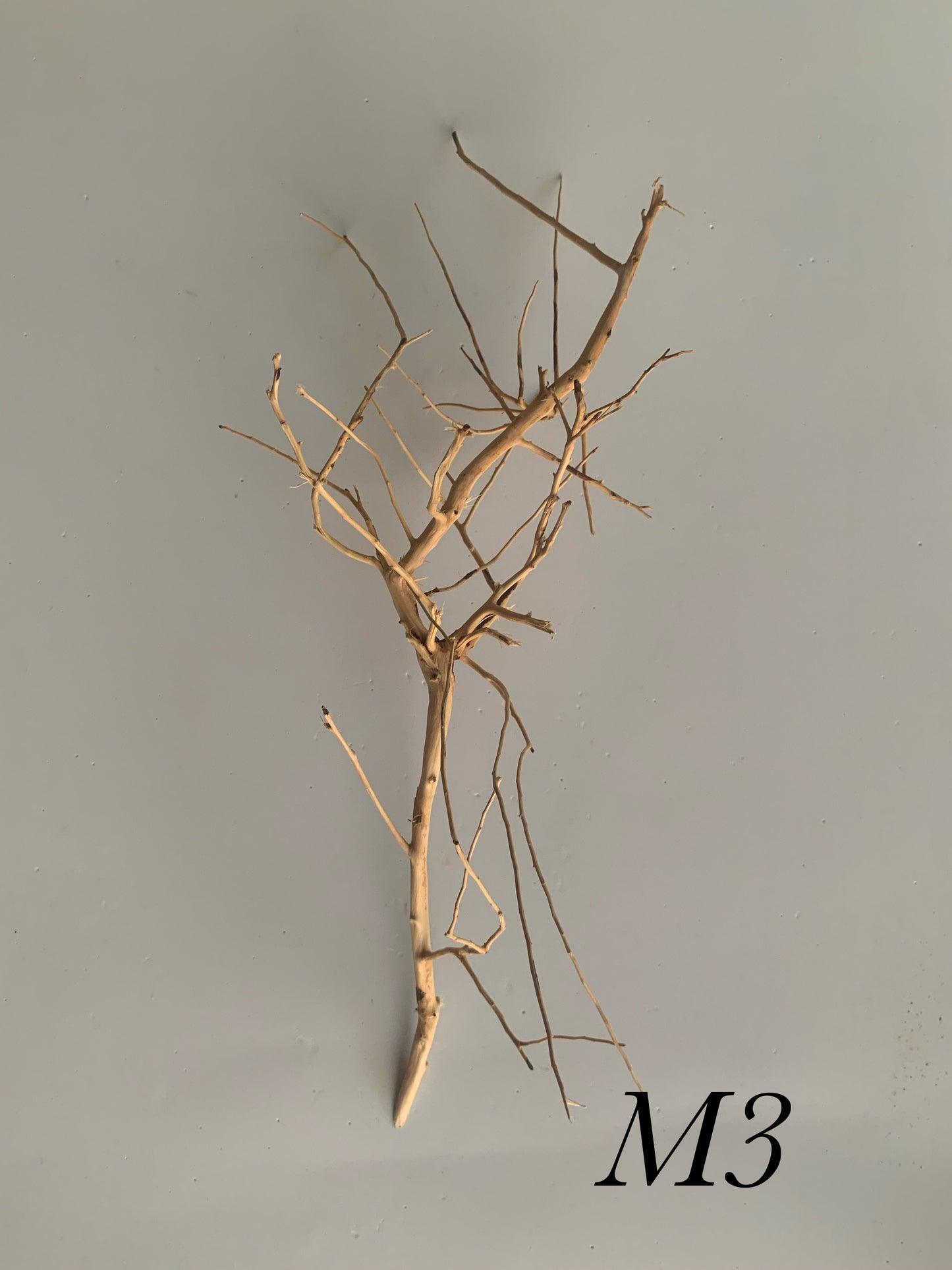 Scaping Twigs Medium (20-30cm)