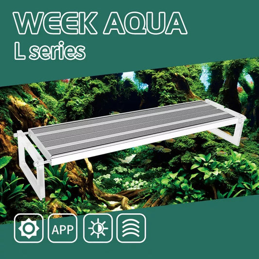 Week Aqua L Series