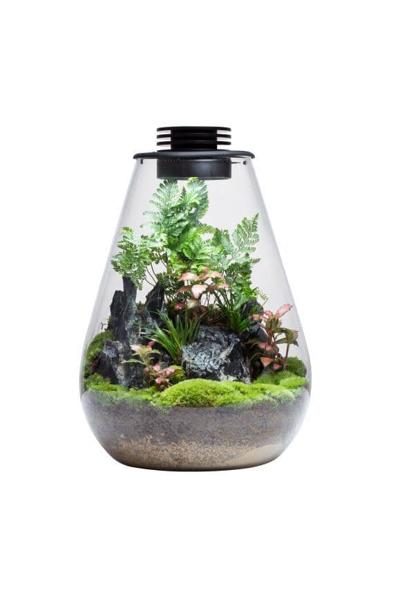 Bioloark Bio Bottle SD200